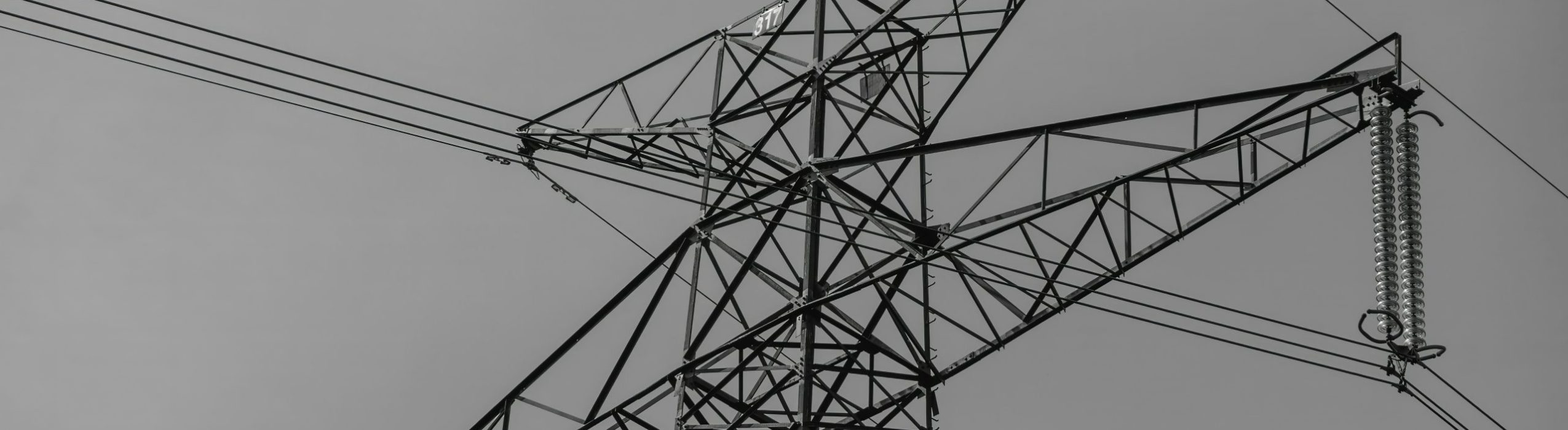 martin-martz-E0uSWaSwM3Y-unsplash
